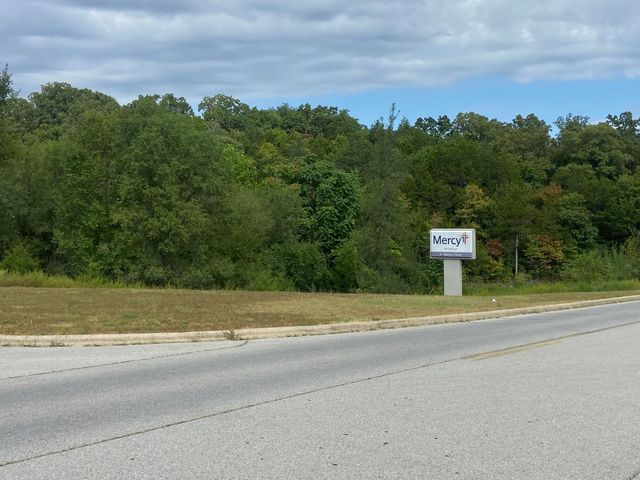 290 Clift Court, Hollister, MO 65672