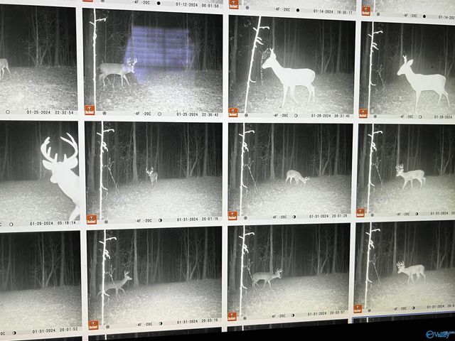 1596 Mountainboro Road, Boaz, AL 35956