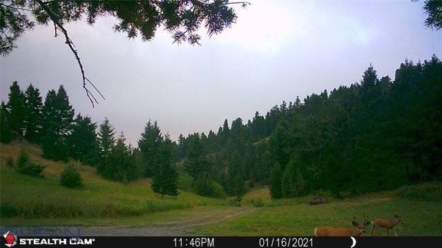 1 Seven Point Road, Livingston, MT 59047