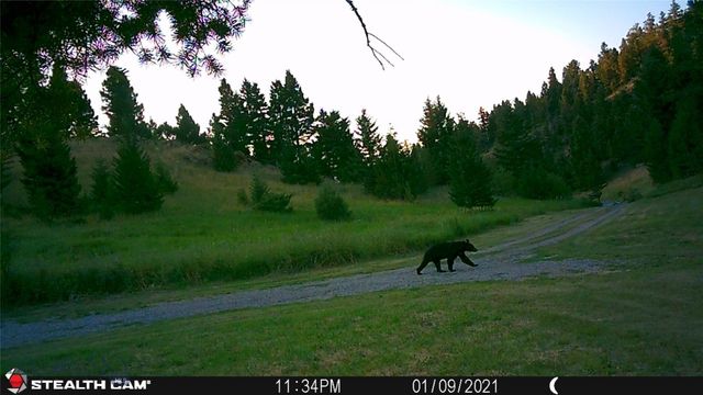 1 Seven Point Road, Livingston, MT 59047