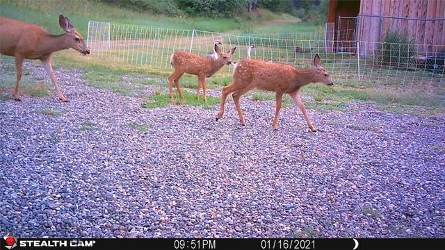 1 Seven Point Road, Livingston, MT 59047