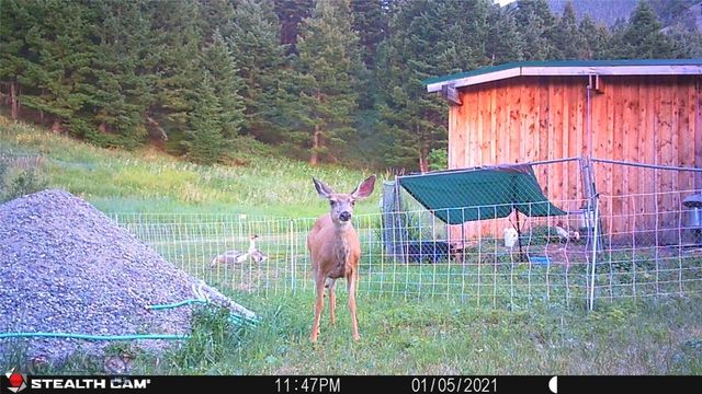 1 Seven Point Road, Livingston, MT 59047