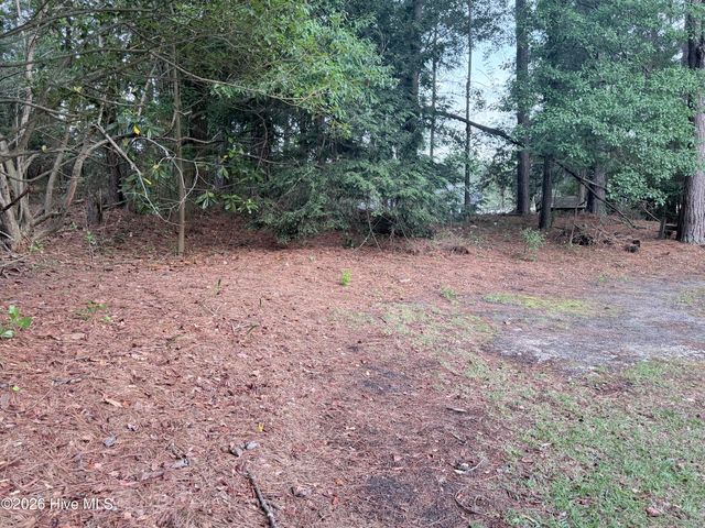 185 Bronwyn Street, Southern Pines, NC 28387