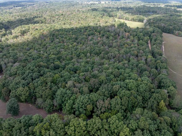 5500 Old Nashville Hwy, Mc Ewen, TN 37101