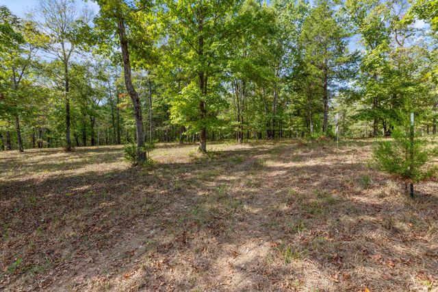 5500 Old Nashville Hwy, Mc Ewen, TN 37101