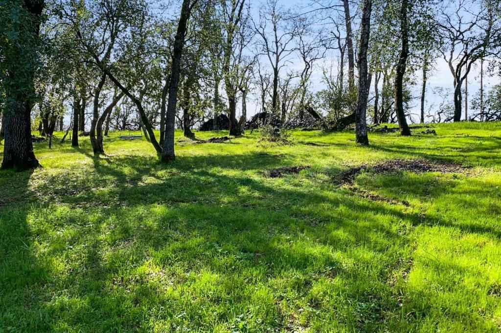 Image 44 of property listing at 19789 Weide Way, Anderson, CA 96007