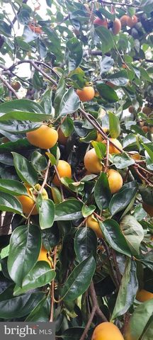 118 MARDAN DR, Reisterstown, MD 21136