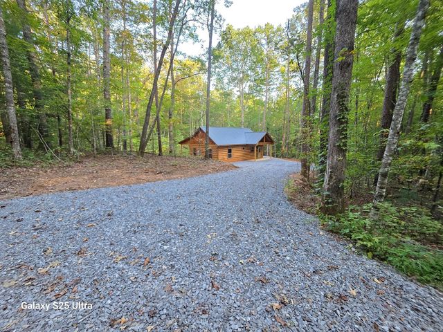 110 Old Ridge Road, Mineral Bluff, GA 30059