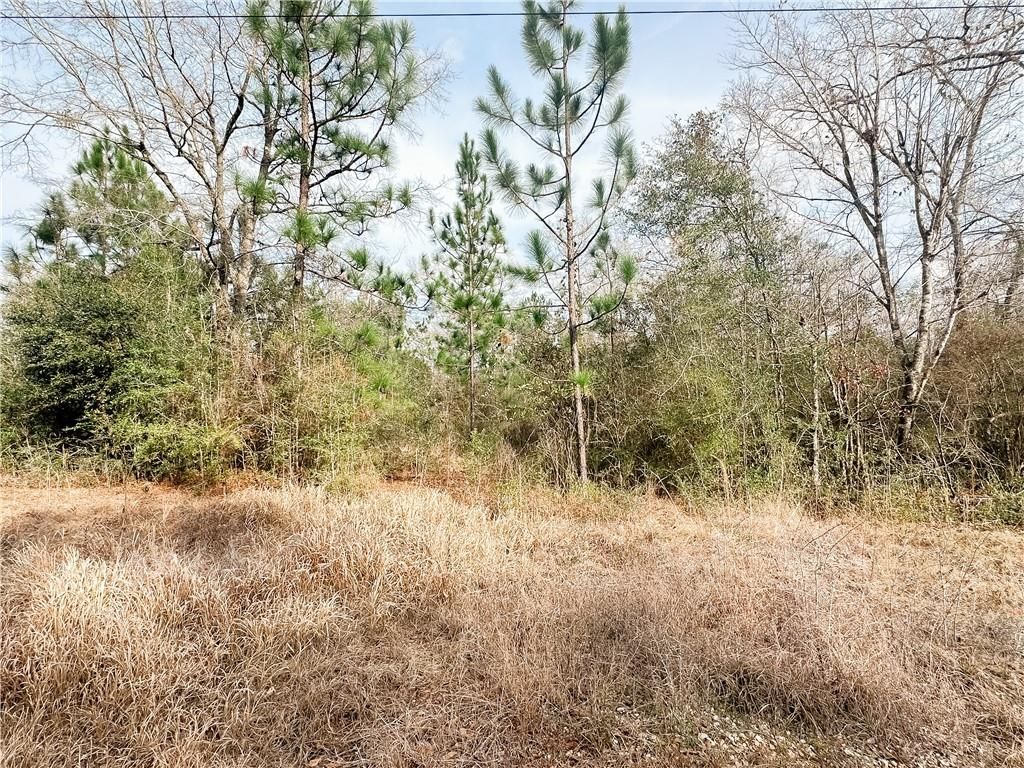 12180 Roberts Road, Chunchula, AL 36521 — exterior