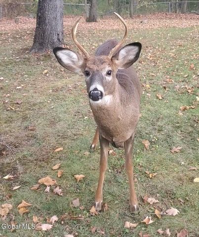 5112 Jockey Street, Galway, NY 12074