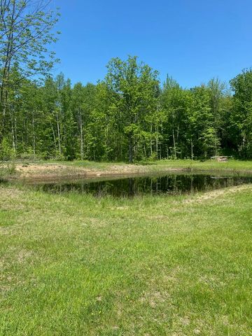 3302 W Dana Drive, Coleman, MI 48618
