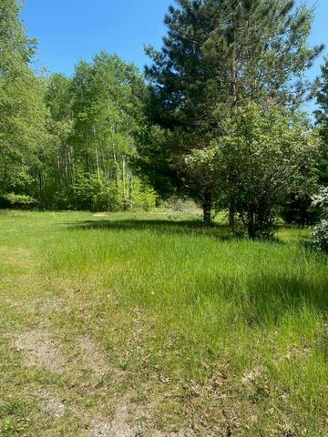 3302 W Dana Drive, Coleman, MI 48618