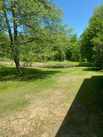 3302 W Dana Drive, Coleman, MI 48618