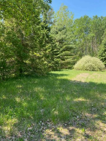 3302 W Dana Drive, Coleman, MI 48618