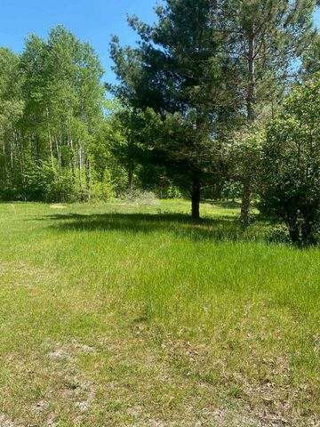 3302 W Dana Drive, Coleman, MI 48618