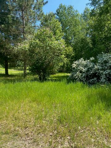 3302 W Dana Drive, Coleman, MI 48618