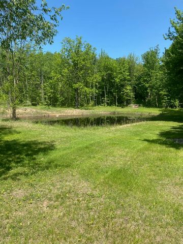 3302 W Dana Drive, Coleman, MI 48618