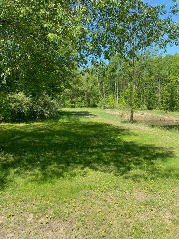 3302 W Dana Drive, Coleman, MI 48618