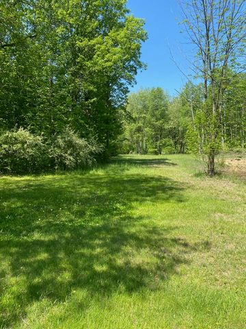 3302 W Dana Drive, Coleman, MI 48618