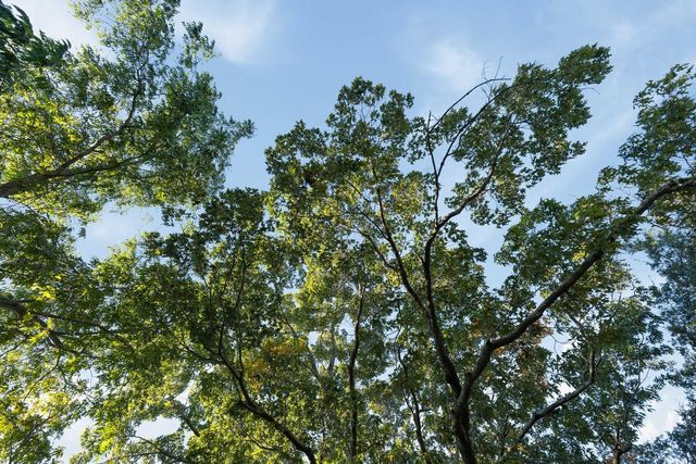 19 Gordon Street, Charleston, SC 29403