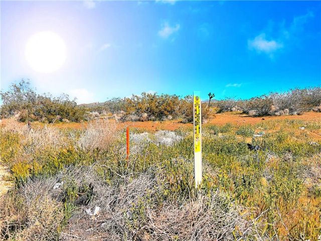 0 110th St East, Sun Village, CA 93543