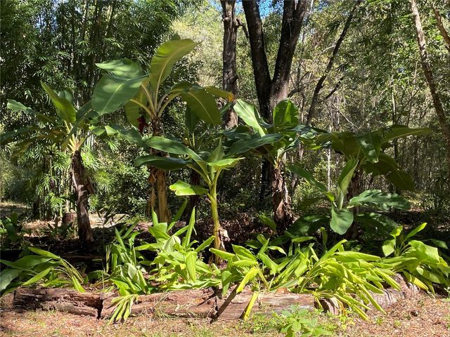 14977 SE COUNTY ROAD 2082, Hawthorne, FL 32640