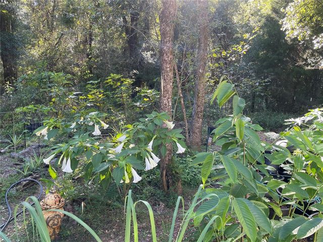 14977 SE COUNTY ROAD 2082, Hawthorne, FL 32640