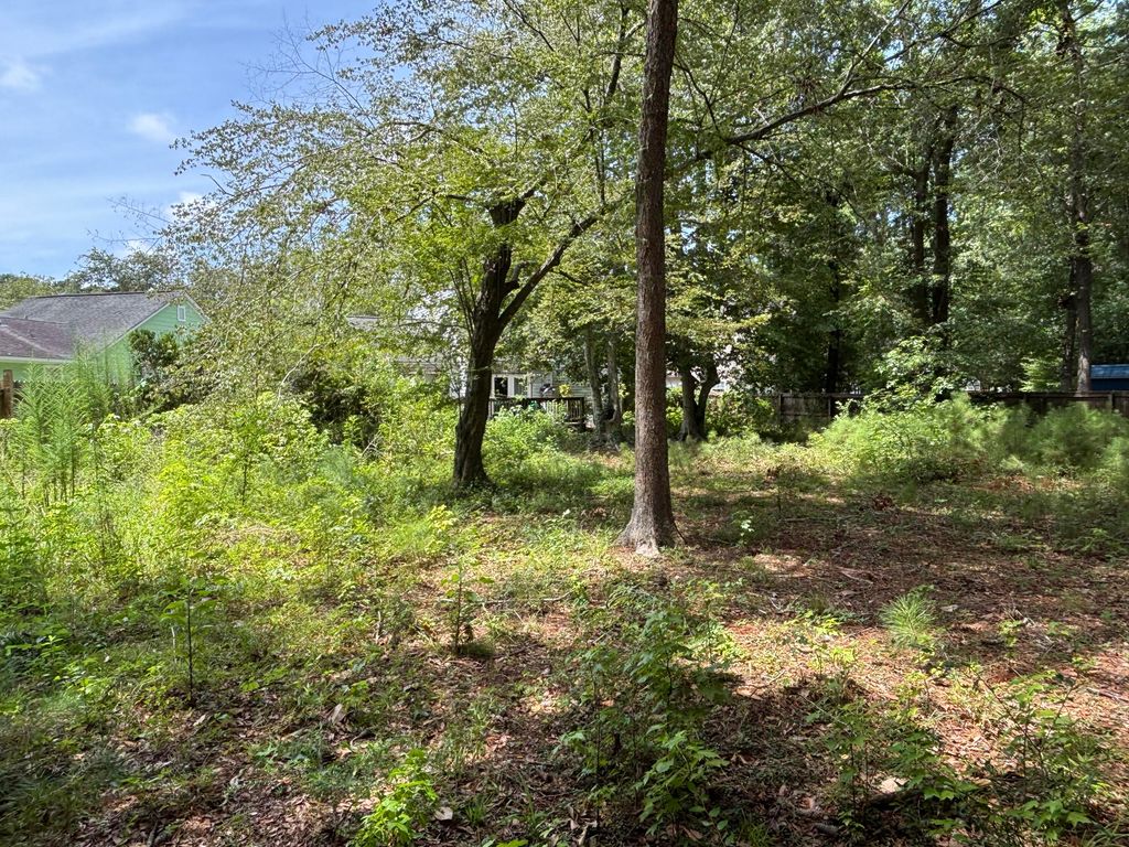 Image 16 of property listing at 110 Nottingham Court, Summerville, SC 29485