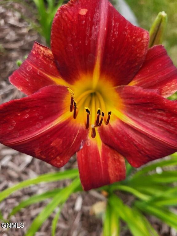 14044 48th Street NW, Williston, ND 58801 photo 83