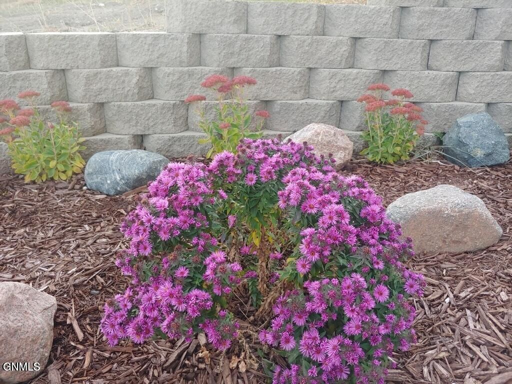 14044 48th Street NW, Williston, ND 58801 photo 87