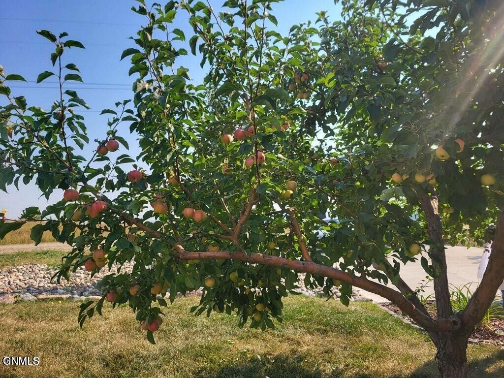 14044 48th Street NW, Williston, ND 58801 photo 92