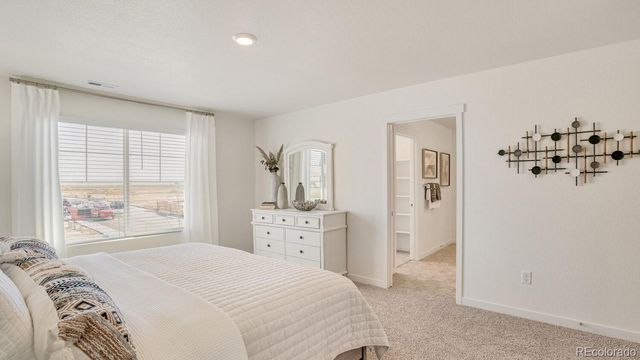 841 Trumpet Lane, Windsor, CO 80550