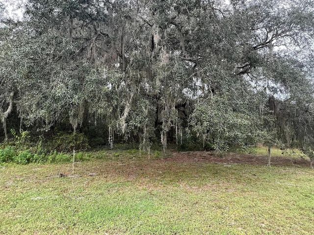 27751 VIRGIL HAWKINS CIRCLE, Okahumpka, FL 34762