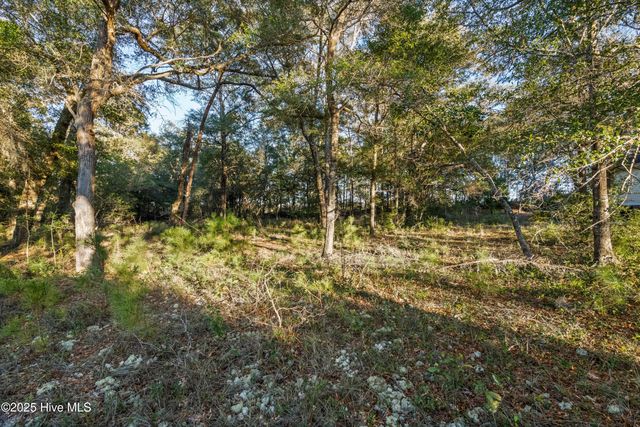 3335 Stone Crab Court SW, Supply, NC 28462