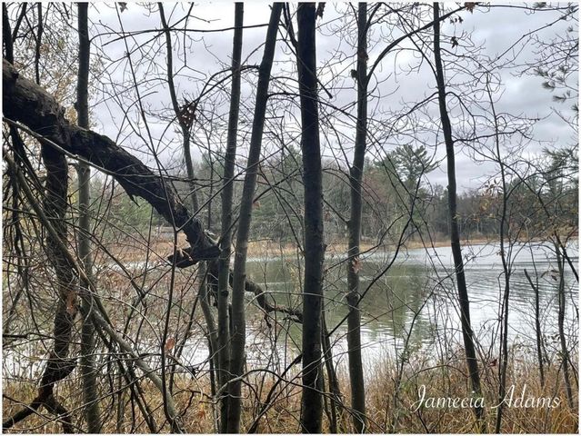 0 S Paris, Idlewild, MI 49642