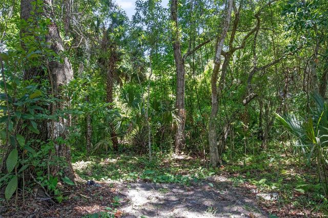 15527 TROUSDALE STREET, Clermont, FL 34715