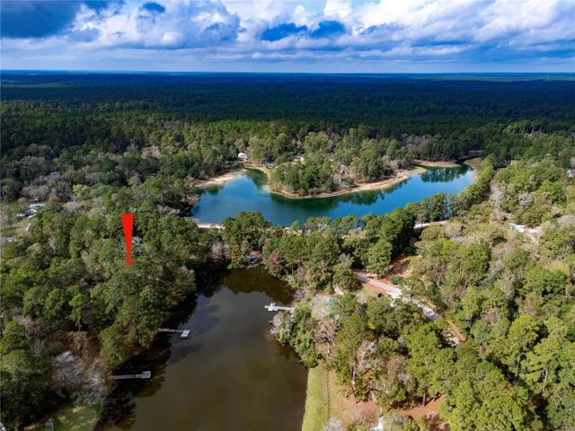 20326 S Shore Drive, Montgomery, TX 77356