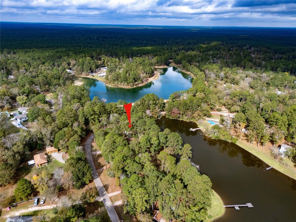 20326 S Shore Drive, Montgomery, TX 77356