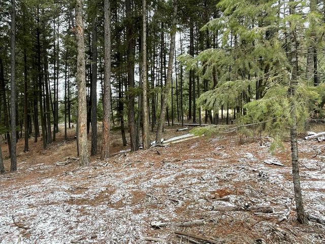 1877 Immel Rd, Chewelah, WA 99109