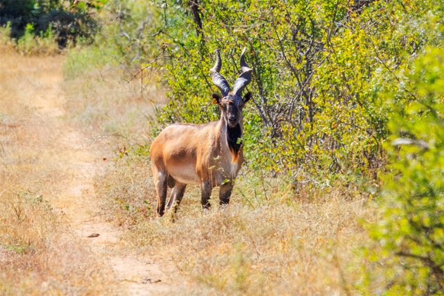 3021 Fm-1689, Comanche, TX 76442