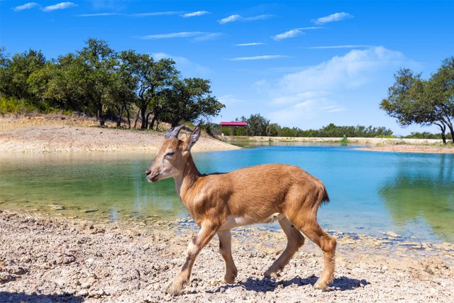 3021 Fm-1689, Comanche, TX 76442