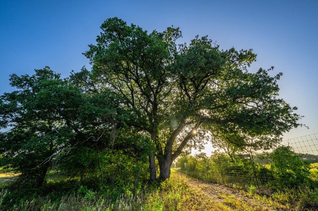 3021 Fm-1689, Comanche, TX 76442