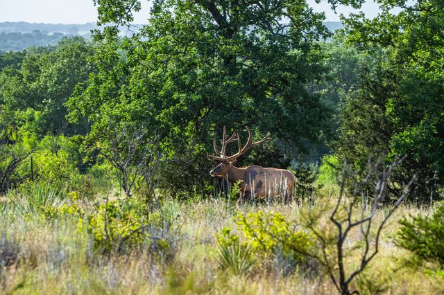 3021 Fm-1689, Comanche, TX 76442