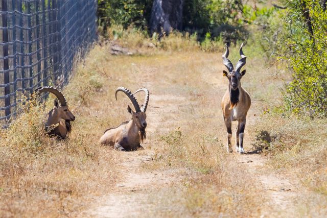 3021 Fm-1689, Comanche, TX 76442