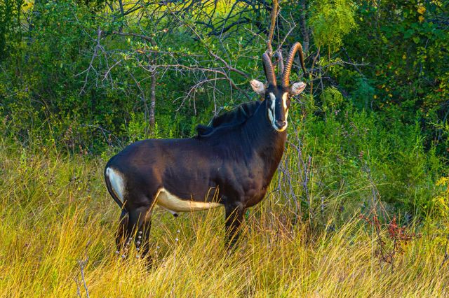 3021 Fm-1689, Comanche, TX 76442