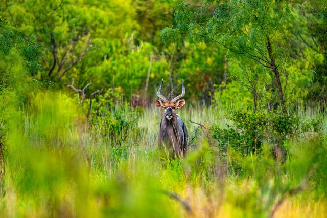 3021 Fm-1689, Comanche, TX 76442