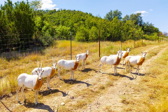 3021 Fm-1689, Comanche, TX 76442