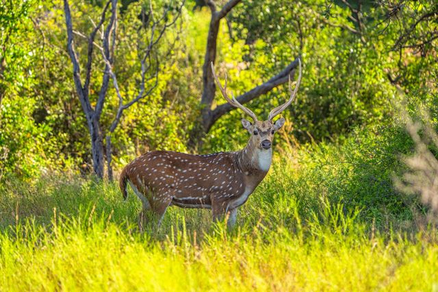 3021 Fm-1689, Comanche, TX 76442