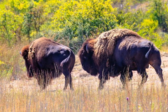 3021 Fm-1689, Comanche, TX 76442