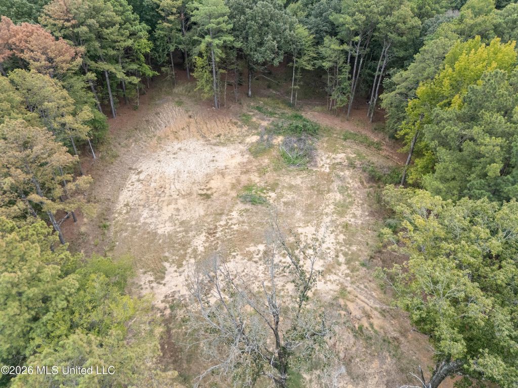 Rolling Oaks Lane, Senatobia, MS 38668 — photo 5